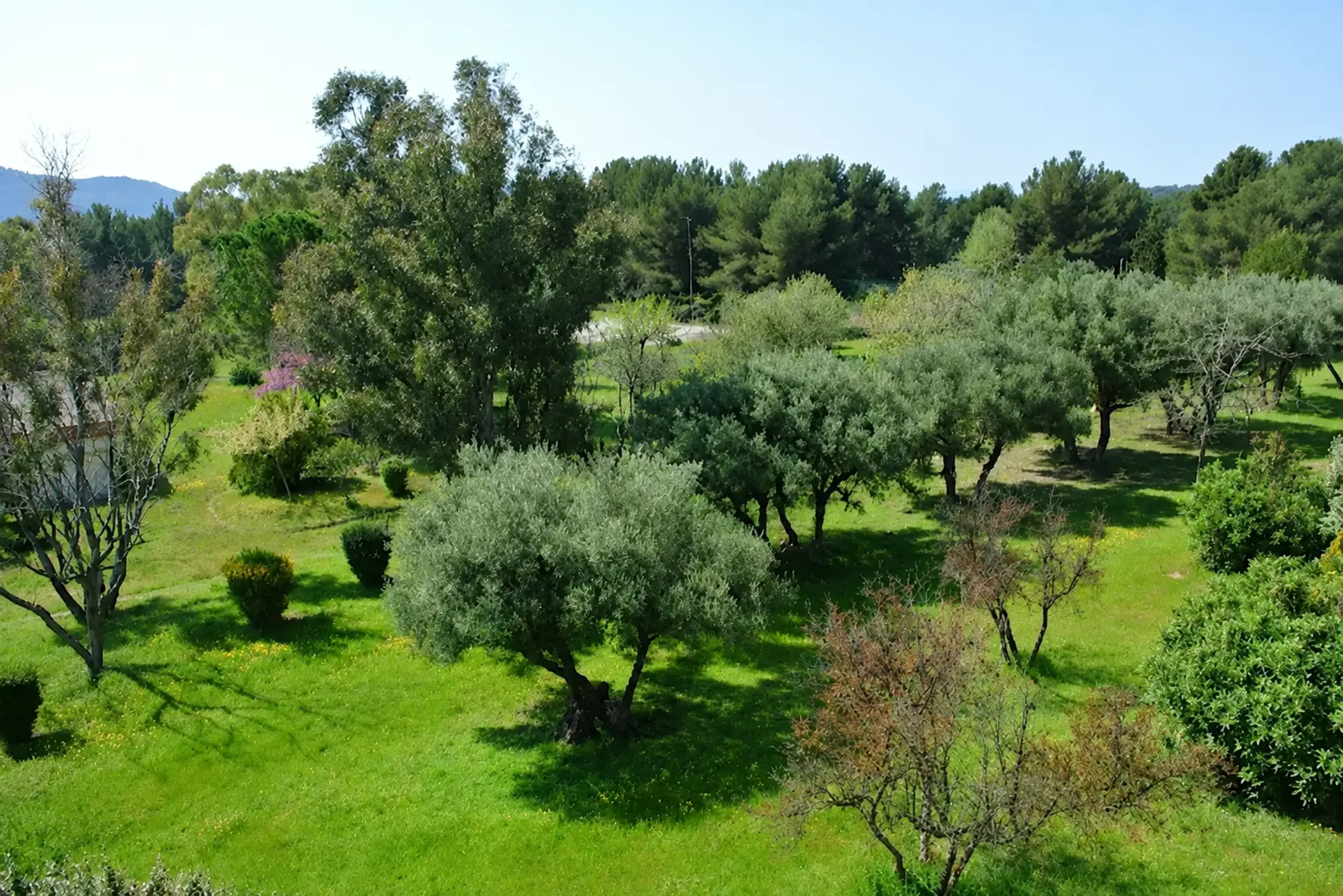 Terrain d'exception entre mer et campagne — La Cadière-d'Azur · Terrain vendu seul · Libre constructeur · 2 000 m²